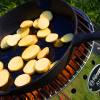 Petromax Fire Skillet fp20 with one pan handle