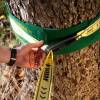 Gibbon Slackline Tree-wear - Beskytter træet 